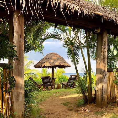 Palmlea Farms Lodge & Bures - Villas Labasa Exteriér fotografie