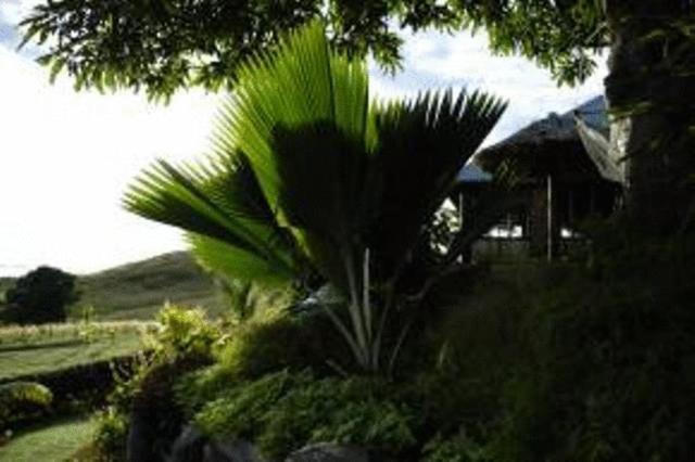 Palmlea Farms Lodge & Bures - Villas Labasa Exteriér fotografie