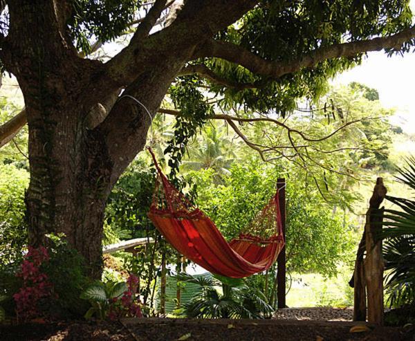 Palmlea Farms Lodge & Bures - Villas Labasa Exteriér fotografie